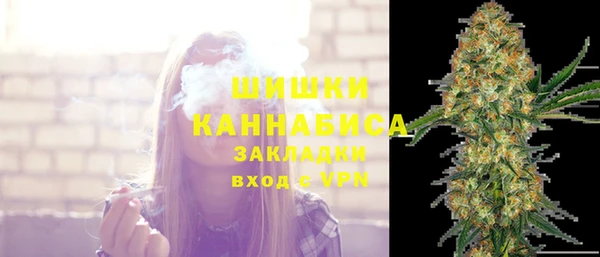 прущая мука Ельня