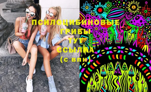 трава Дмитриев