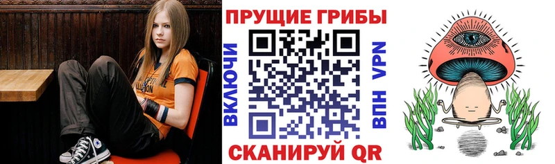 сколько стоит  Томилино  МЕГА зеркало  Галлюциногенные грибы мухоморы 